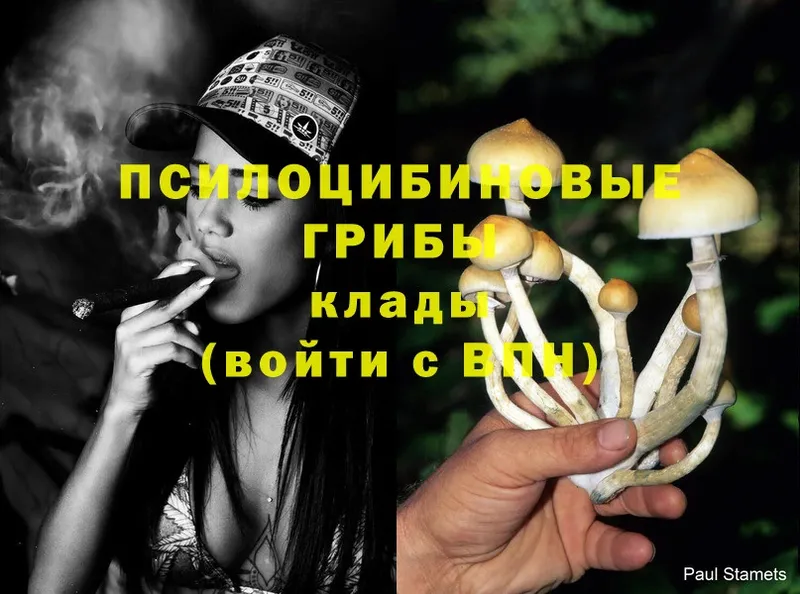 Галлюциногенные грибы Psilocybine cubensis Вельск